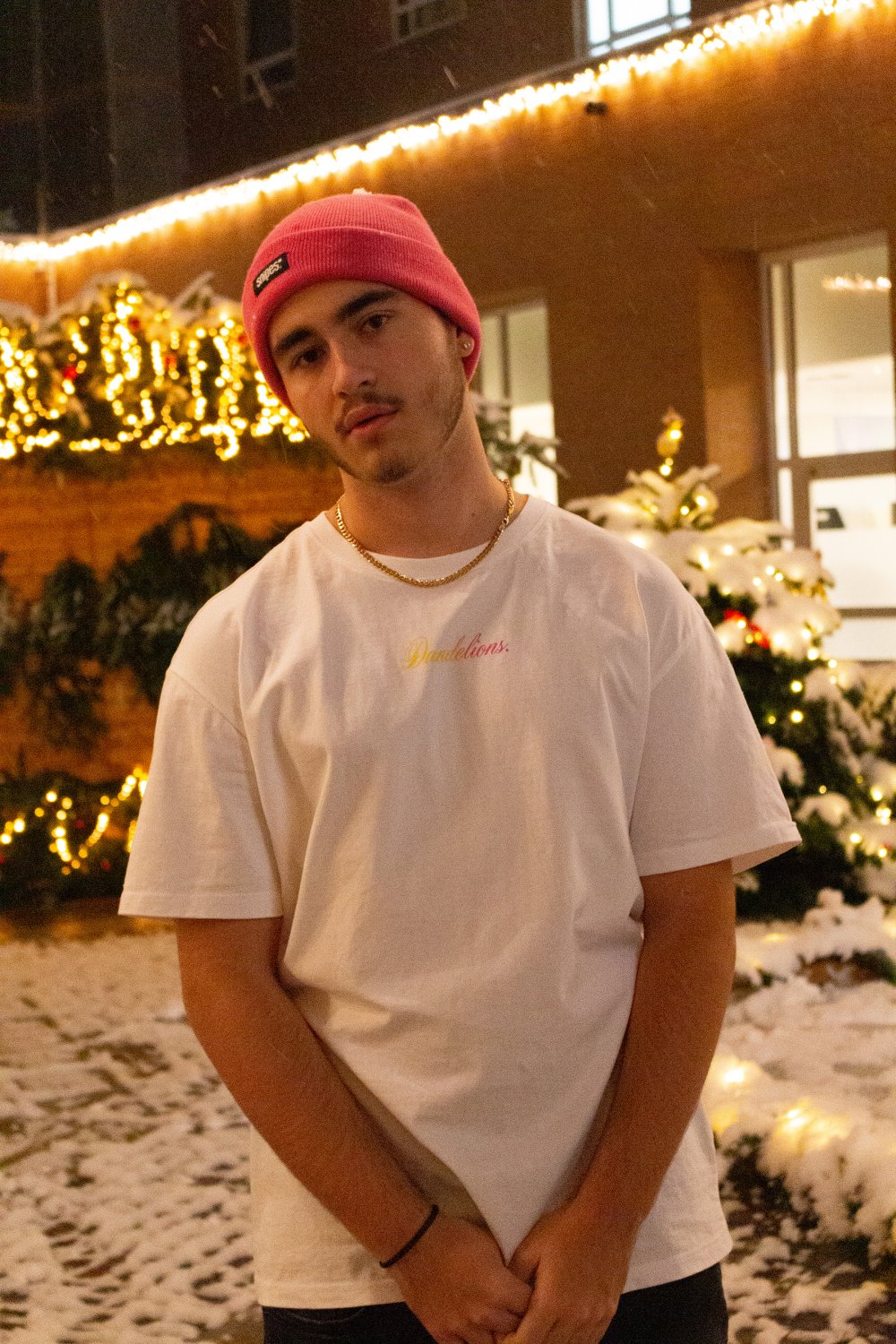 Dandelions | Build Your Brand / T-Shirt BY102 screen printed